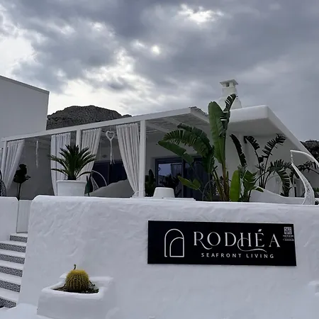 Rodhea * Stegna